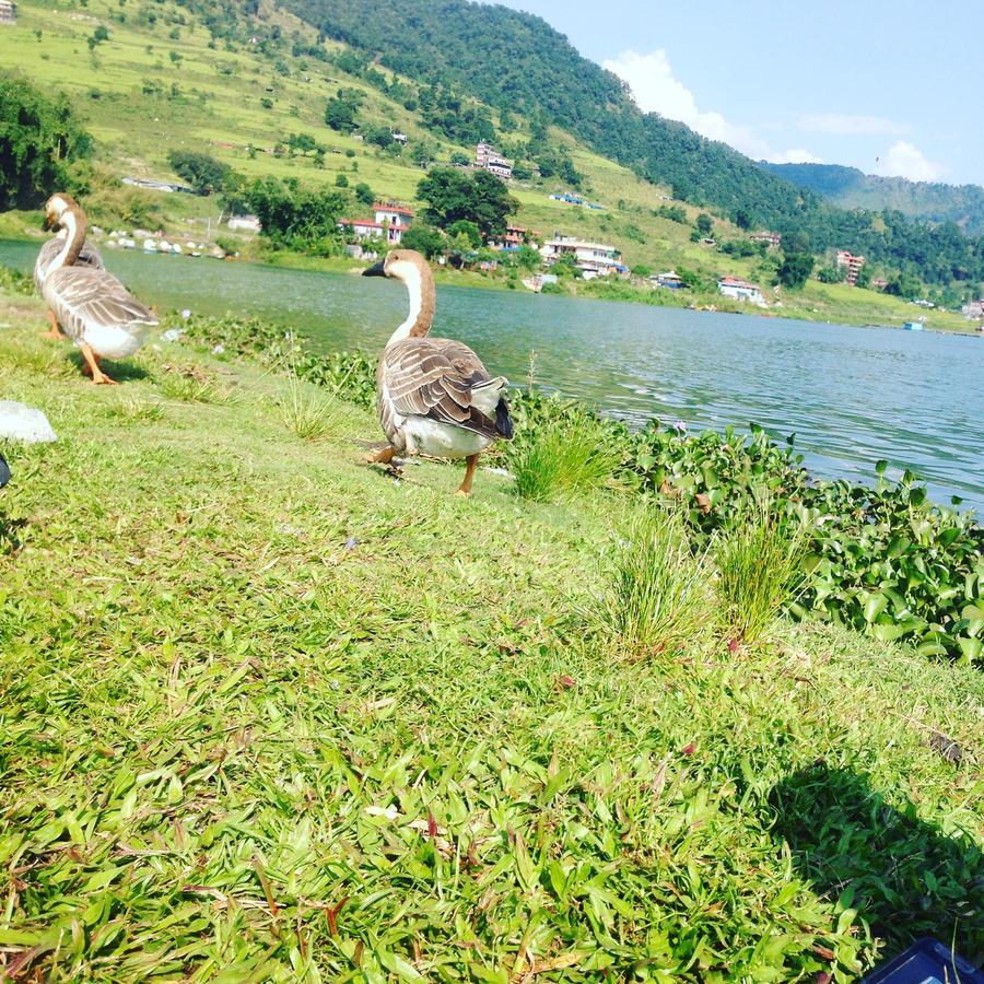 Sweet Dreams Hotel Pokhara Ngoại thất bức ảnh
